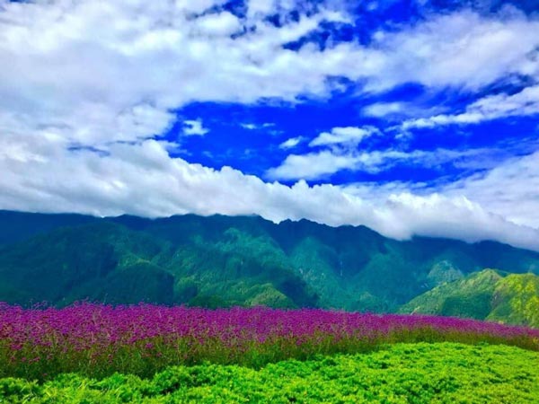 Du lịch Fansipan tránh nóng mùa hè