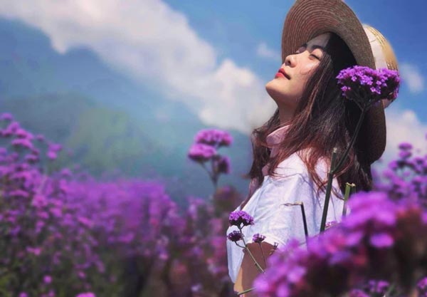 Du lịch Fansipan tránh nóng mùa hè