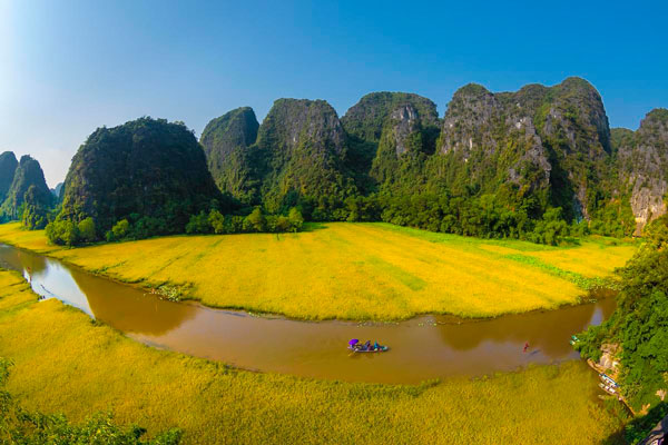Cánh đồng lúa ở Tam Cốc vào mùa đẹp nhất trong năm