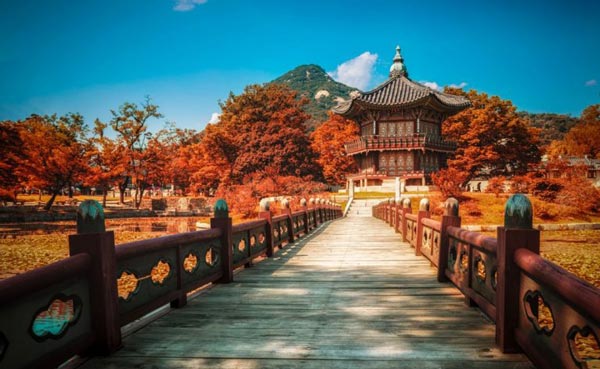 5  lý do bạn nên đi du lịch Hàn Quốc mùa thu
