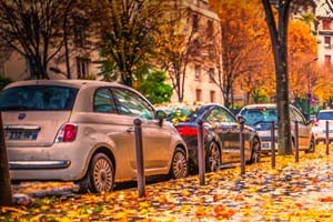 4 điều đáng tới Đà Lạt trong tháng 12