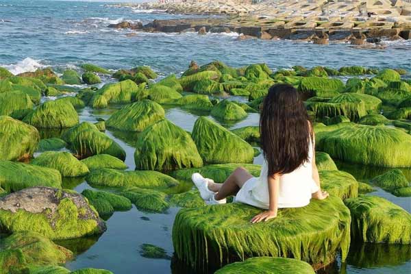 Không tin vào mắt VÙNG ĐẤT XANH RÊU CỔ TÍCH gần xịt SÀI GÒN