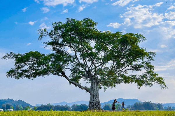 Về xứ sở cà phê khám phá mảnh đất Tây Nguyên hoang sơ