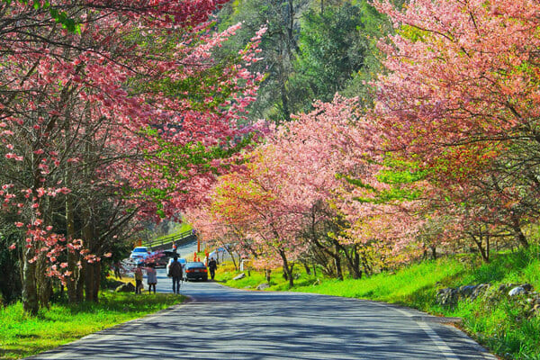 Tour Du Lịch Đài Loan 5N4Đ – Đài Trung, Cao Hùng, Đài Bắc | Bay China Airlines Giá Tốt