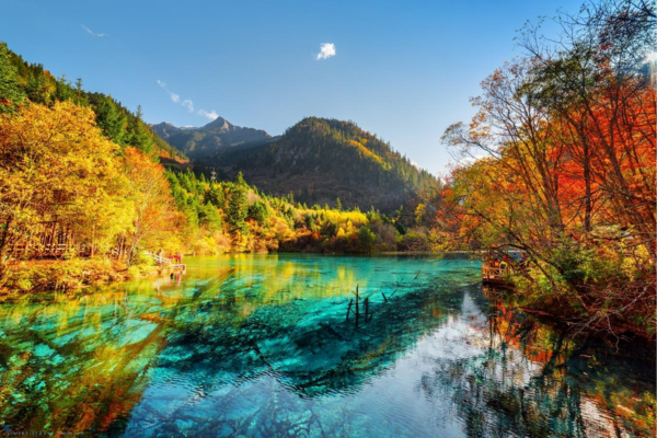 Cửu Trại Câu