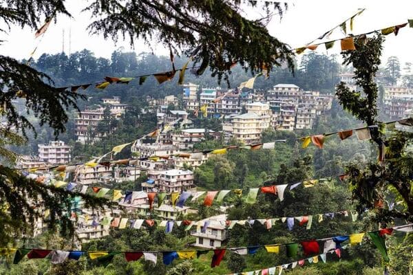 Tour Hành Hương Dharamshala 6 Ngày 5 Đêm Trọn Gói Giá Tốt Nhất