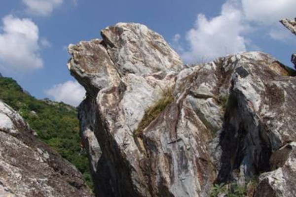 Tour Ấn Độ