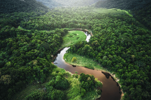 Hành Trình Khám Phá Galapagos & Amazon – Tour Ecuador Peru 14