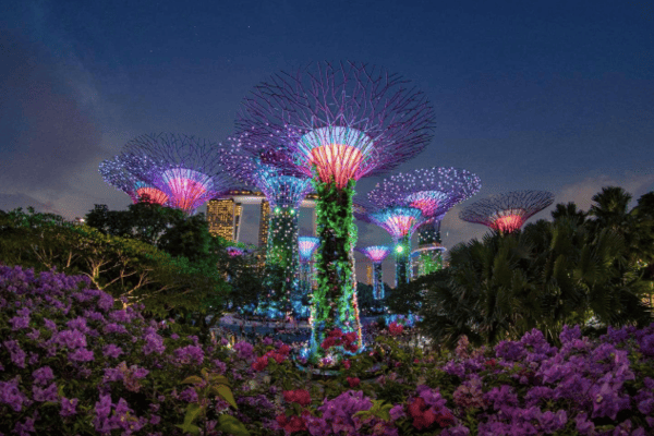 DU LỊCH ĐẢO QUỐC SƯ TỬ - SINGAPORE - THỜI GIAN: 04 NGÀY