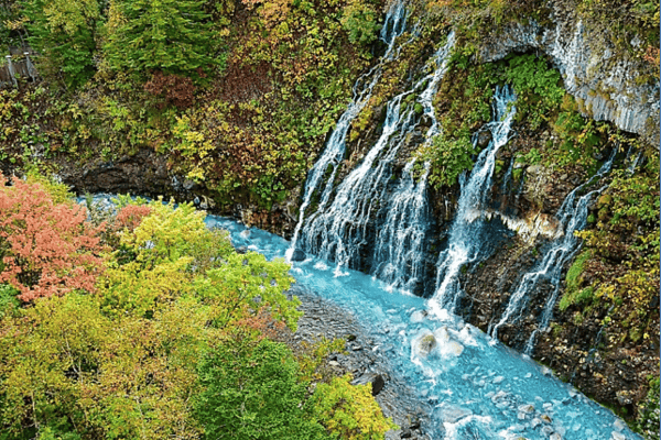 Tour Nhật Bản Mùa Hoa Anh Đào 5N5Đ | Asahikawa – Sapporo