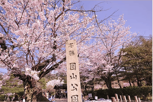 Tour Nhật Bản Mùa Hoa Anh Đào 5N5Đ | Asahikawa – Sapporo