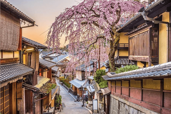 Tour Du Lịch Nhật Bản Mùa Hoa Chi Anh 6N5Đ – Vietnam Airlines | Kobe, Osaka, Kyoto, Fuji, Tokyo