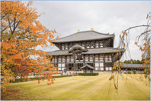 Tour Nhật Bản Mùa Thu: Osaka – Nara – Kyoto – Nagoya – Yamanashi – Tokyo