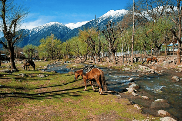 Tour Kashmir 9 Ngày 8 Đêm | Delhi – Srinagar – Gulmarg – Sonmarg – Leh 2026