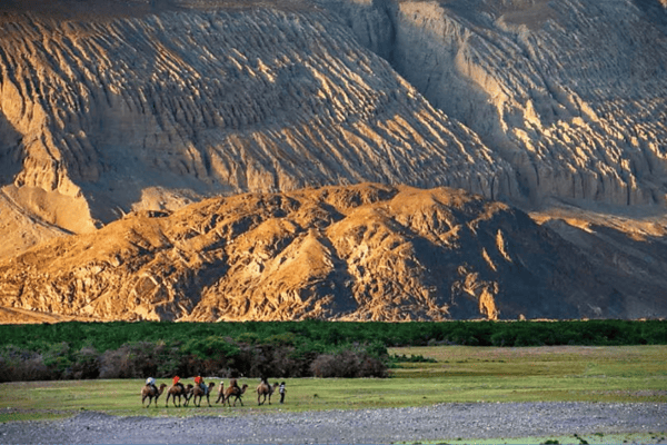 Tour Kashmir 9 Ngày 8 Đêm | Delhi – Srinagar – Gulmarg – Sonmarg – Leh 2026