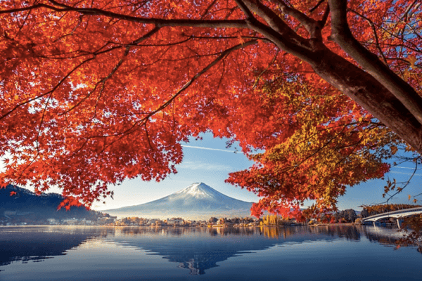 Tour Nhật Bản Mùa Hè 5N5Đ: Kobe – Osaka – Kyoto – Núi Phú Sĩ – Tokyo