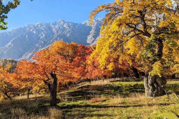 TOUR ĐỘC LẠ PAKISTAN