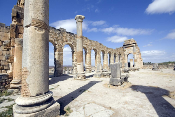 TOUR CHÂU PHI
