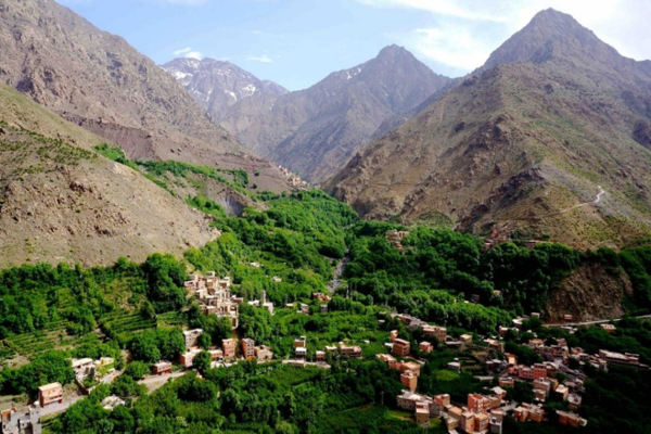 TOUR CHÂU PHI