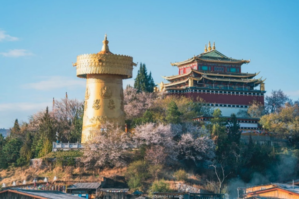 tour đại lý - lệ giang