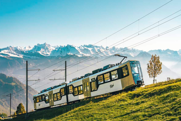 TOUR CHAU AU 11N10D