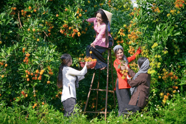 Tour Sài Gòn – Mỹ Tho – Bến Tre – Châu Đốc – Cần Thơ – Chợ Nổi 3N2Đ