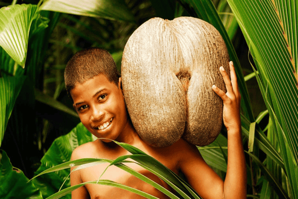 KHÁM PHÁ THIÊN ĐƯỜNG ĐÔNG PHI: SEYCHELLES – MADAGASCAR – MAURITIUS (THỜI GIAN: 14 NGÀY 13 ĐÊM - HÀNG KHÔNG: EMIRATES)