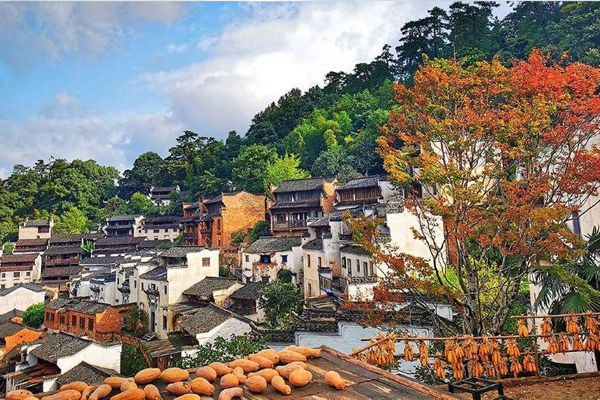 VỌNG TIÊN CỐC