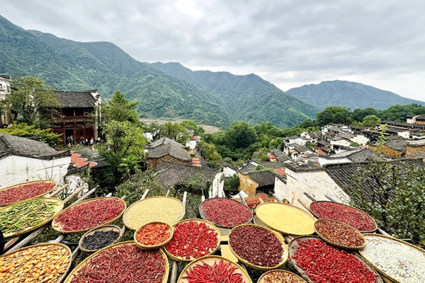 VỌNG TIÊN CỐC