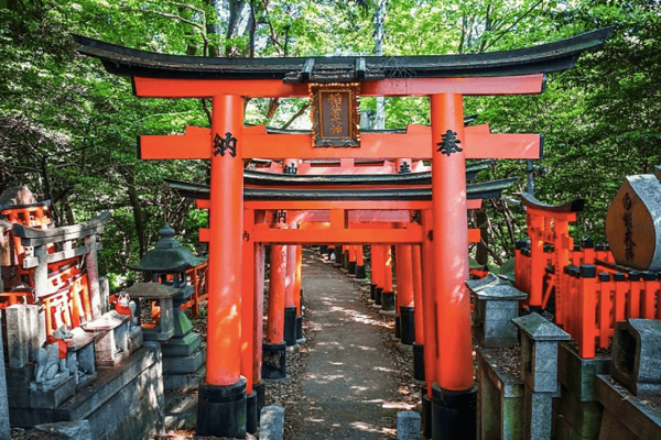 Tour Nhật Bản Mùa Thu 5N5Đ: Osaka – Kyoto – Nagoya – Fuji – Yamanashi