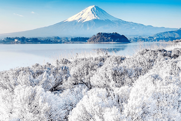 Tour Nhật Bản Mùa Đông 5N5Đ | Trượt Tuyết Fujiten – Osaka – Tokyo | Vietjet/VNA 2026
